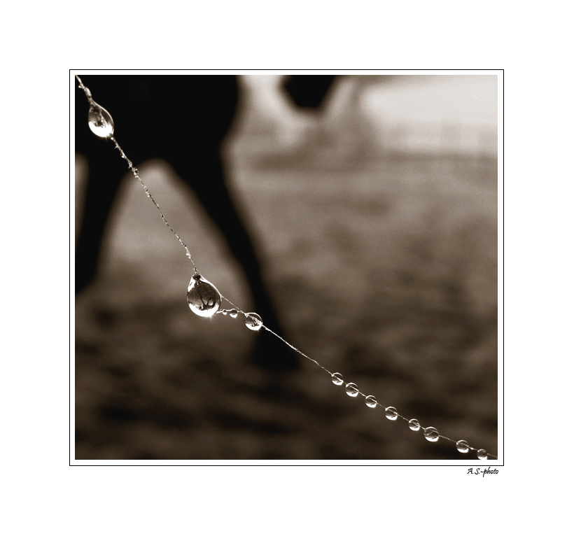 [drop and horse]