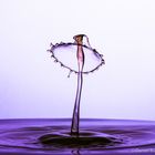 Drop Art IMG_2598