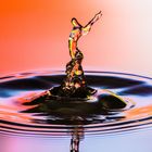 Drop Art_IMG_6478