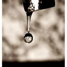 Drop of Water