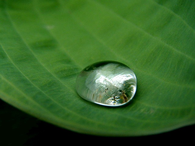 Drop of water