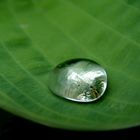 Drop of water