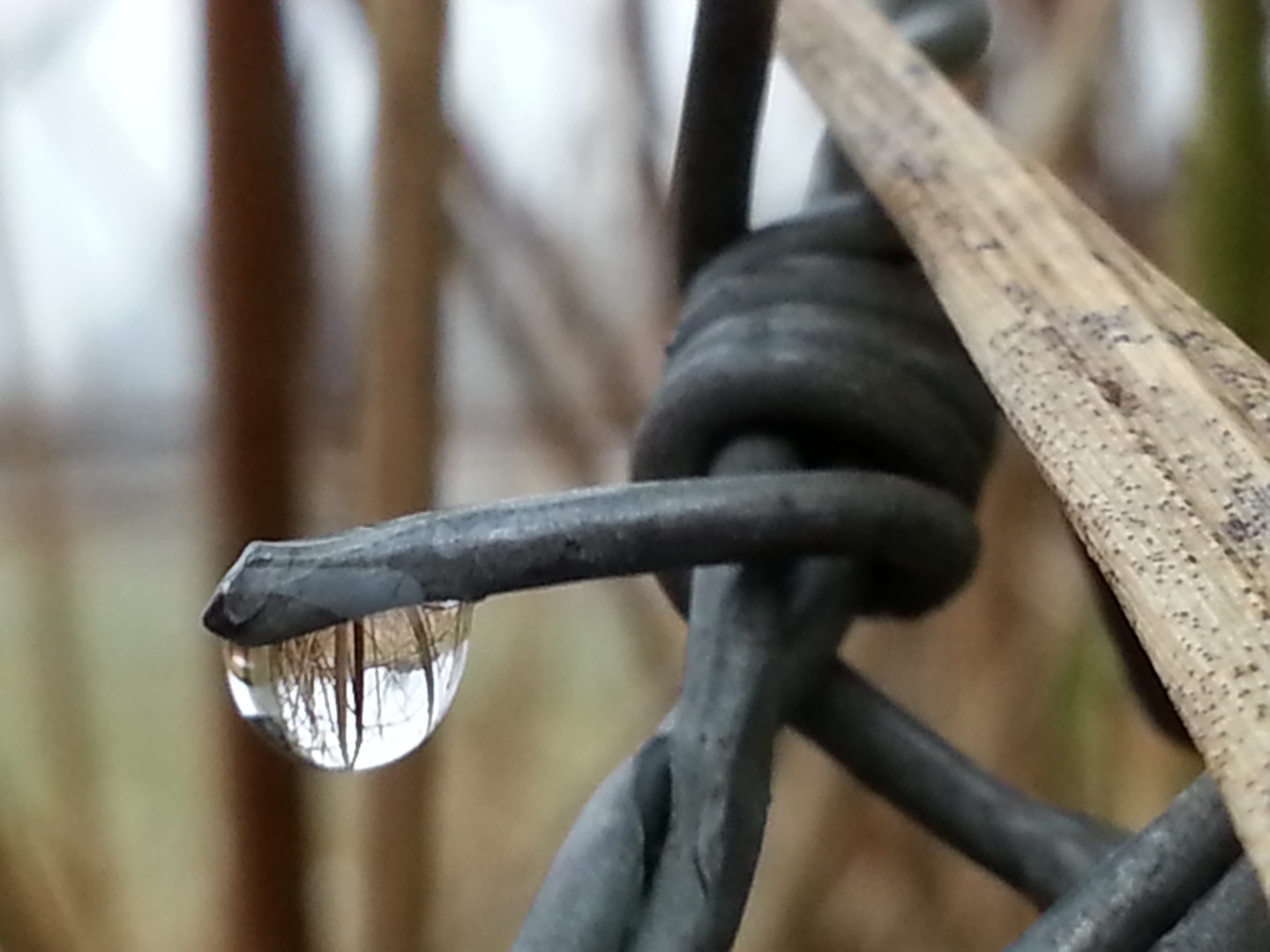 drop on wire