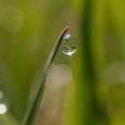 droplet