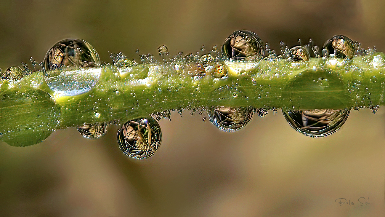 Droplet by droplet