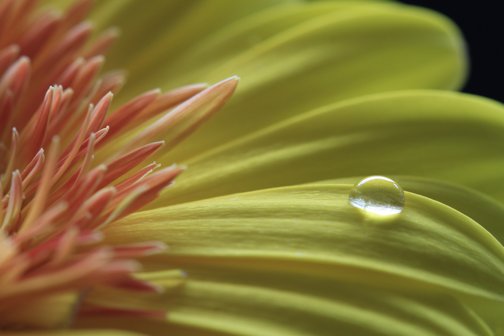 Droplet