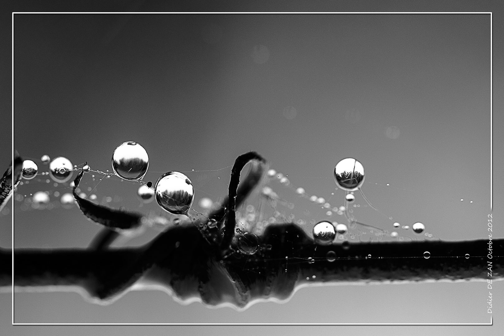 Droplets ..... .