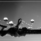 Droplets ..... .