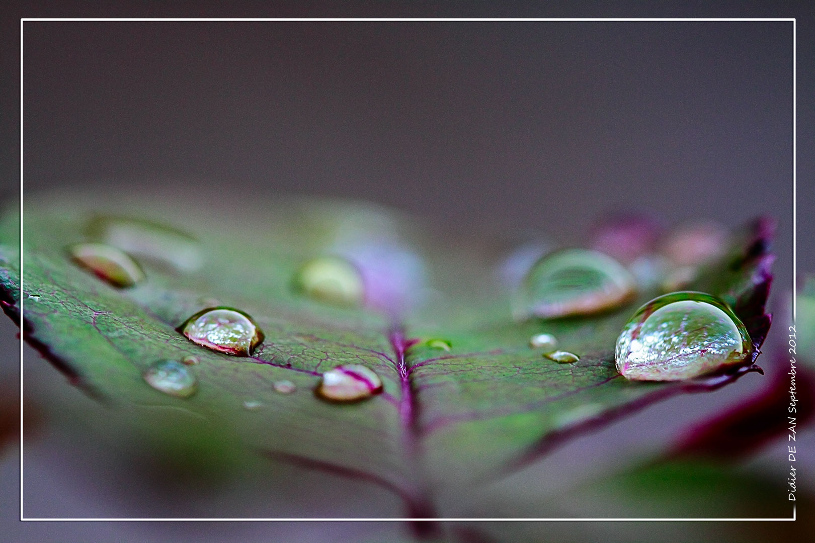 Droplets.....