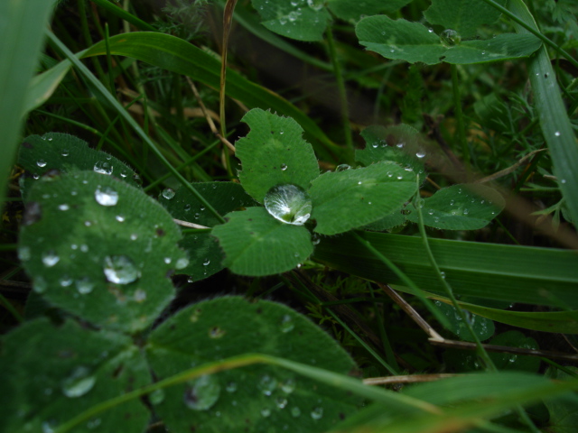 Droplets.