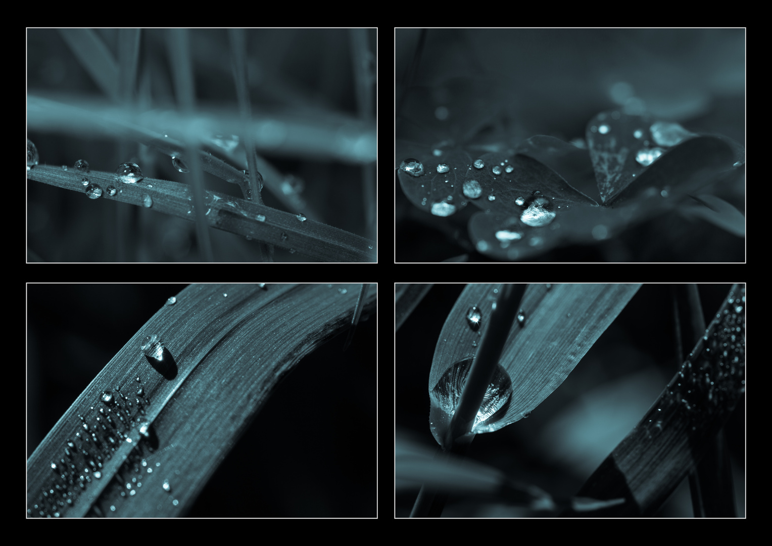 drops . . .