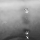 drops