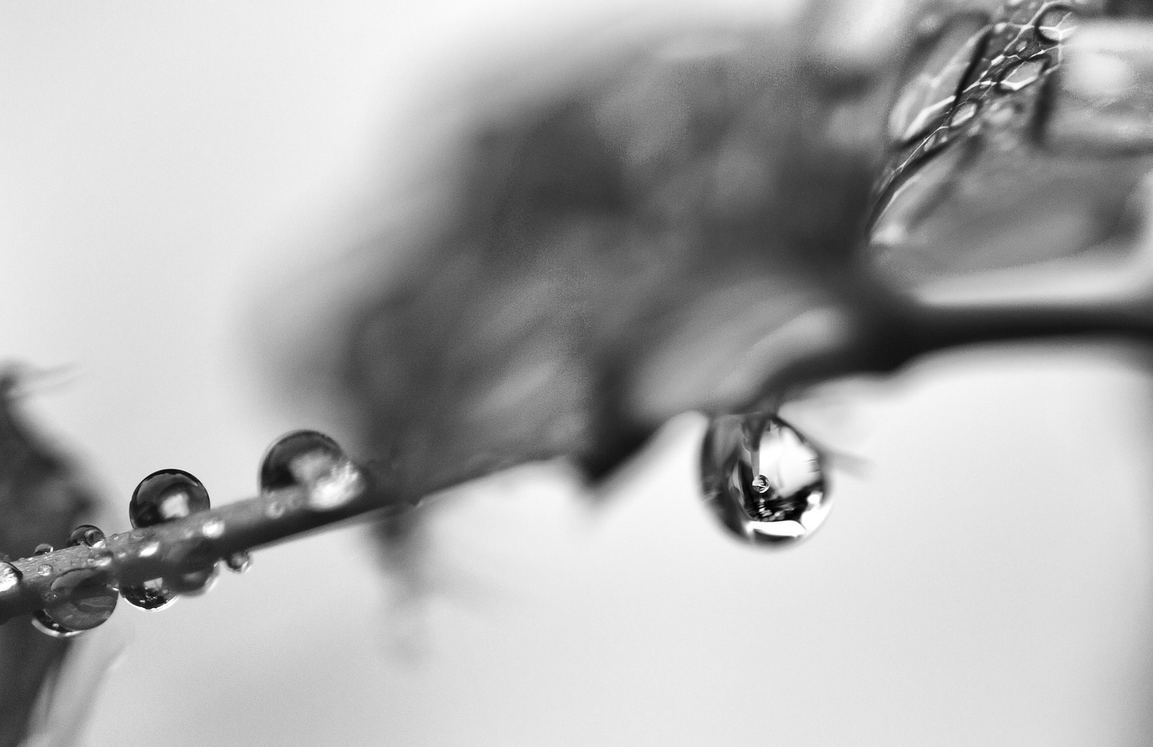 Drops