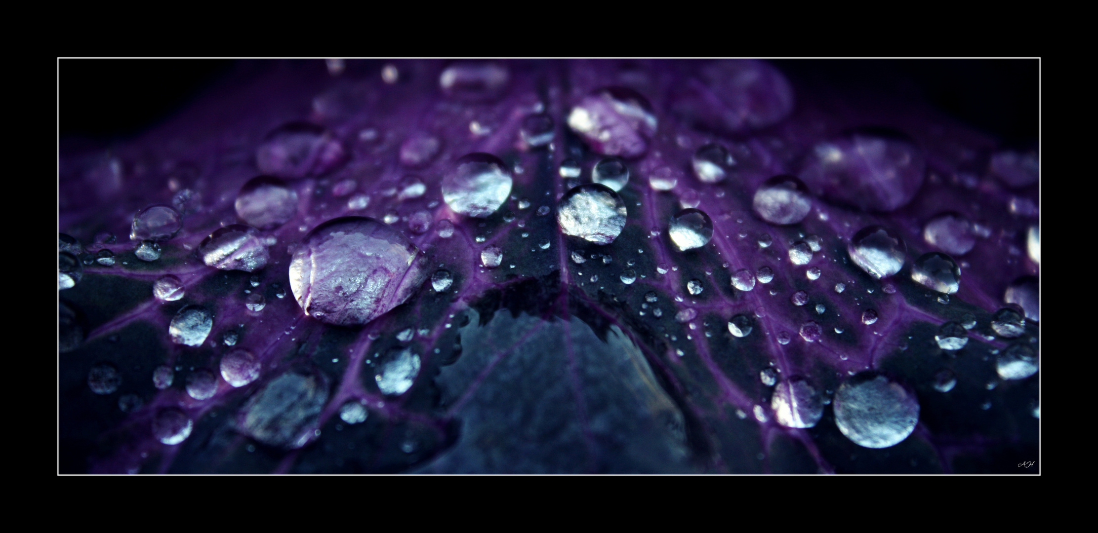 Drops