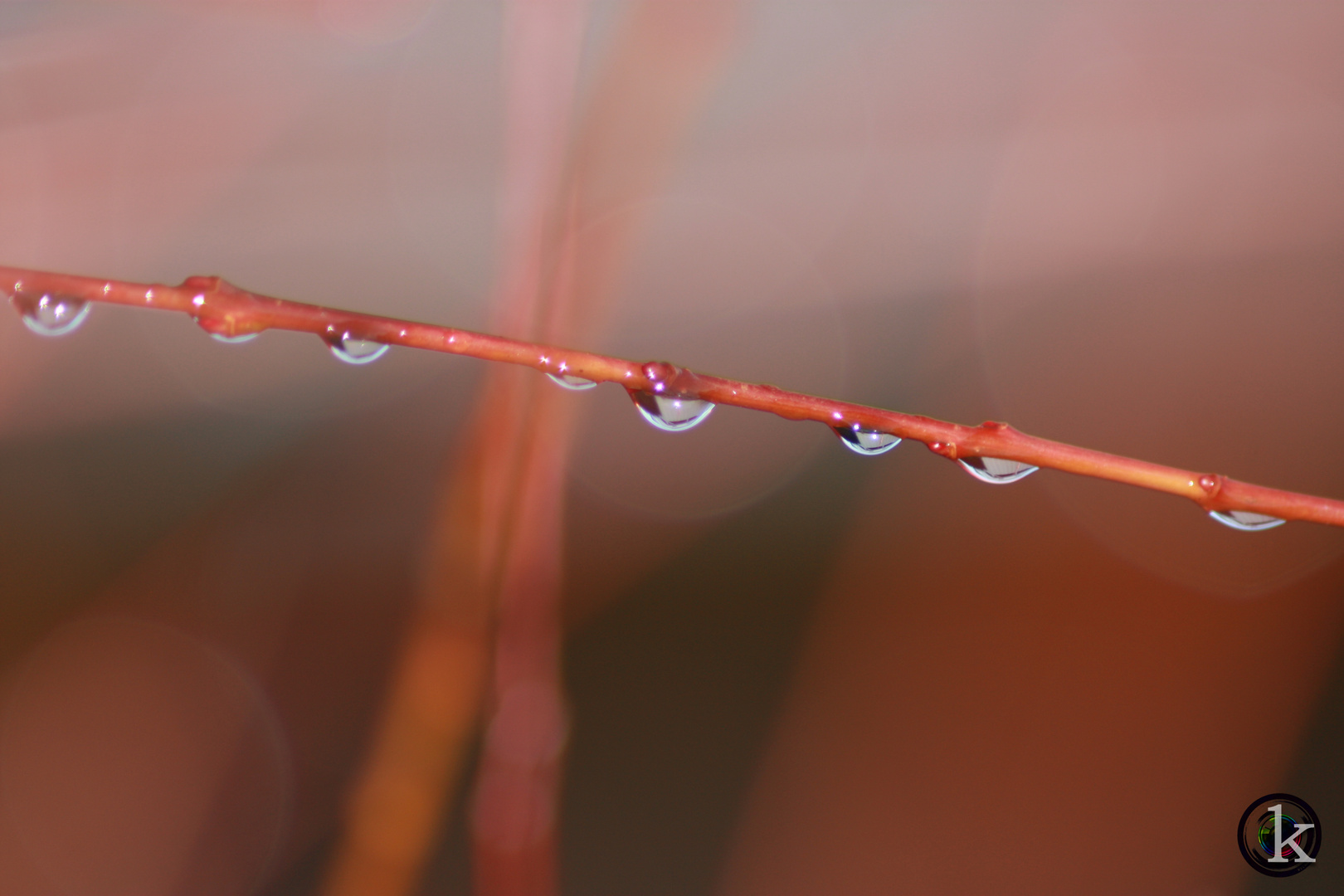 Drops