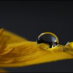 Drops