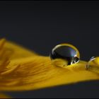 Drops