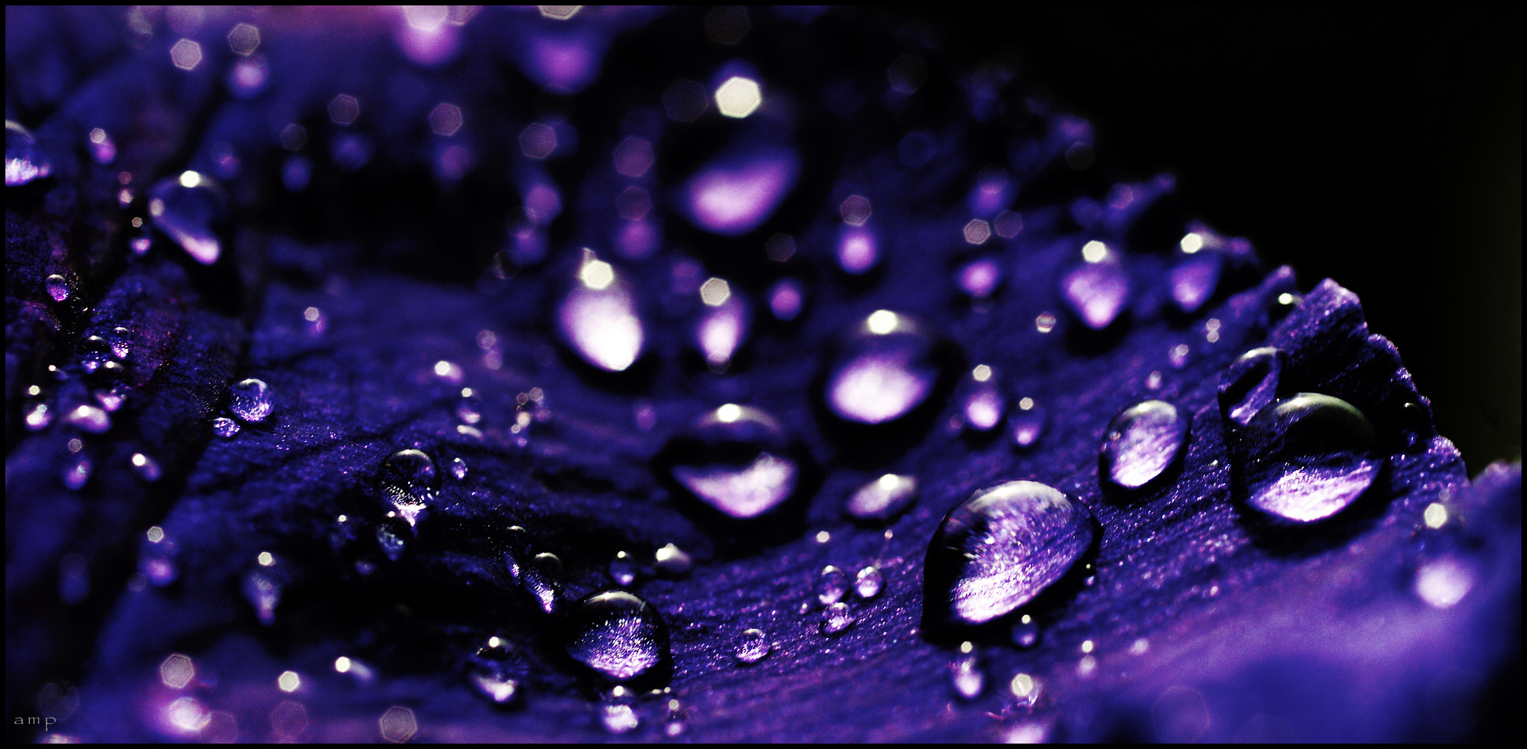 drops