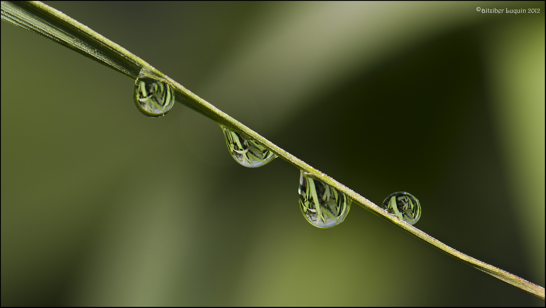 Drops