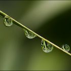 Drops