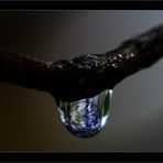 Drops