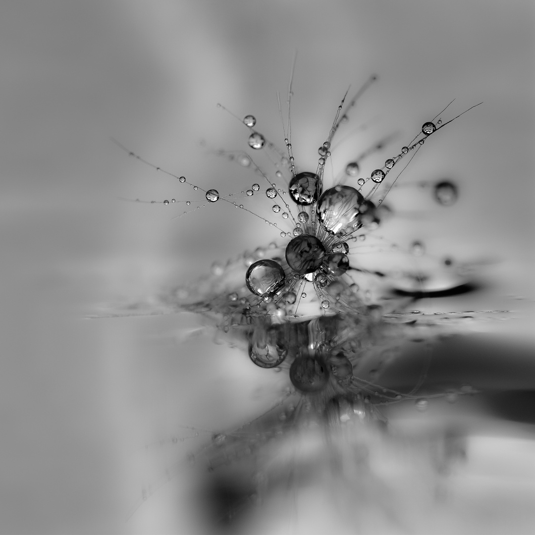 drops