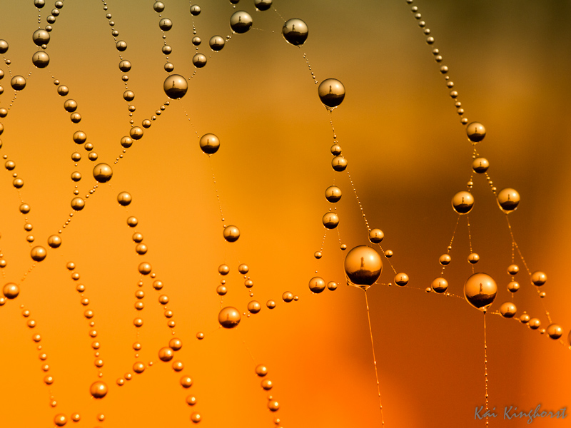 Drops