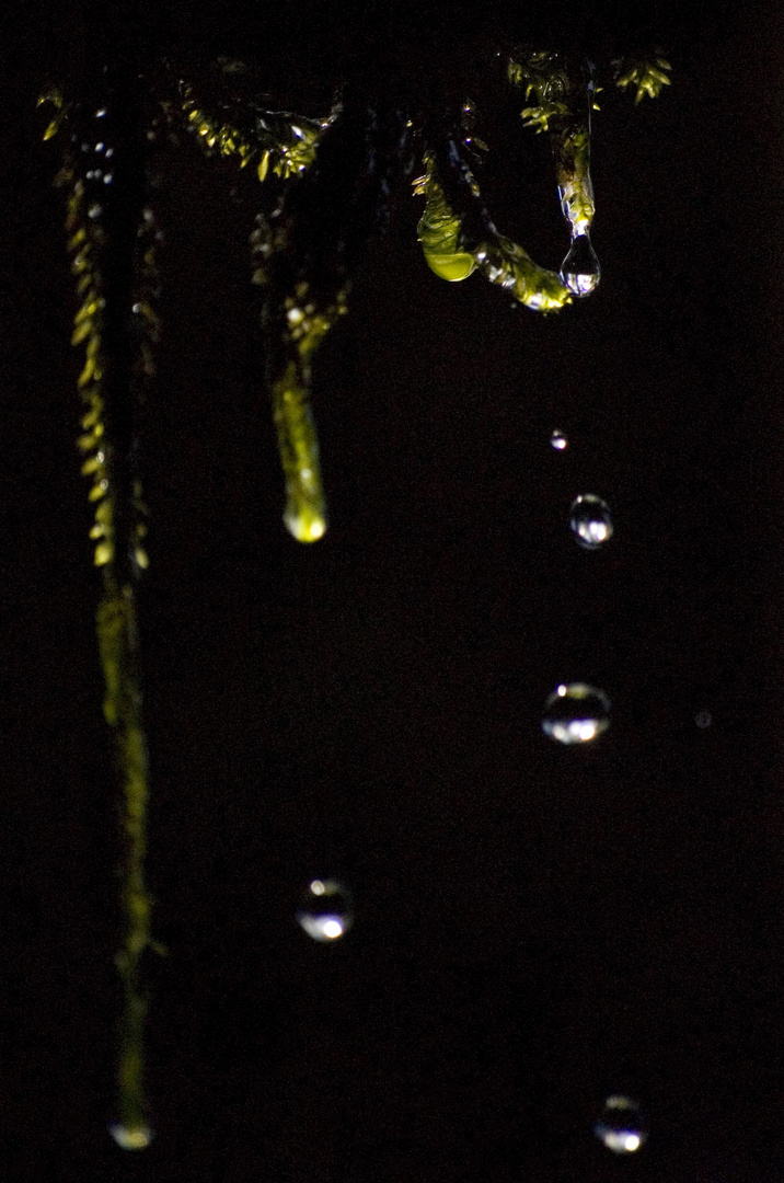 drops