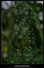 Drops