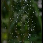 Drops