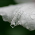 Drops...