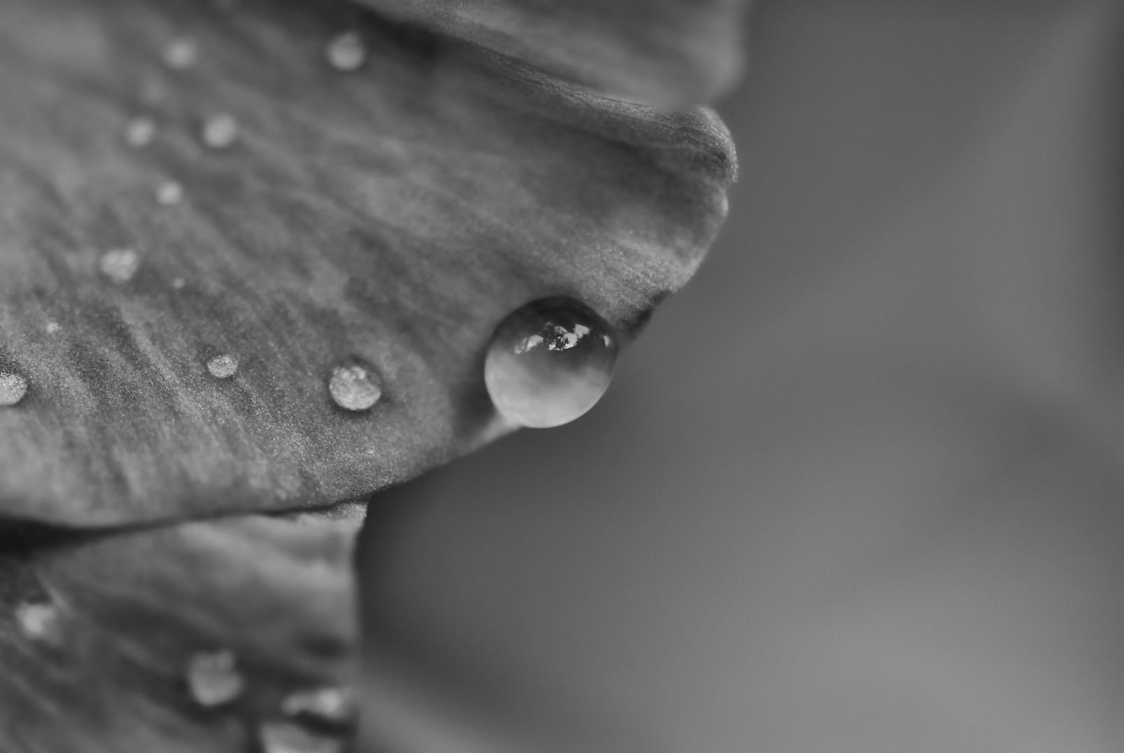 Drops