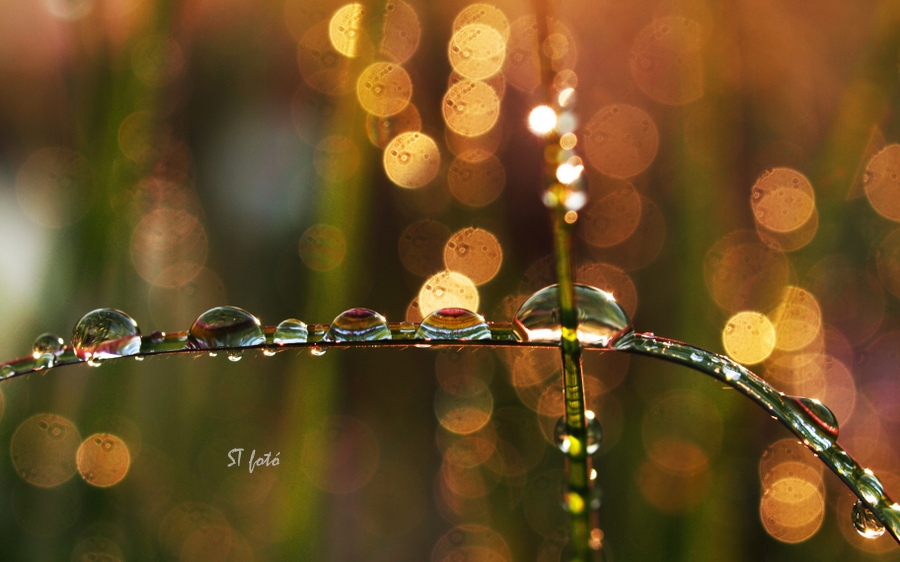 Drops and colours
