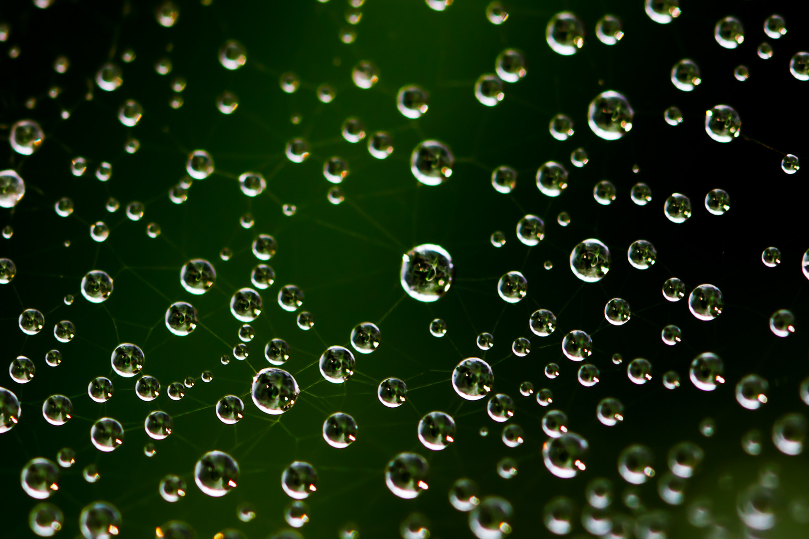 Drops