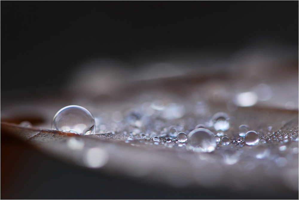 drops°