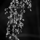 drops - drops - drops