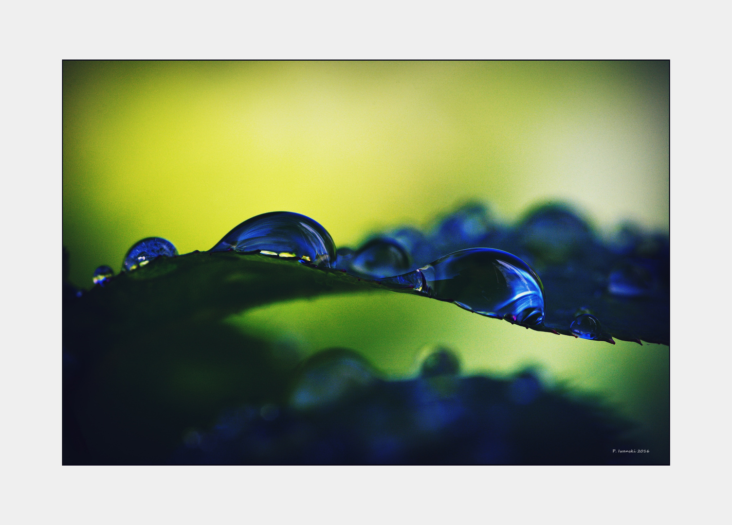 Drops