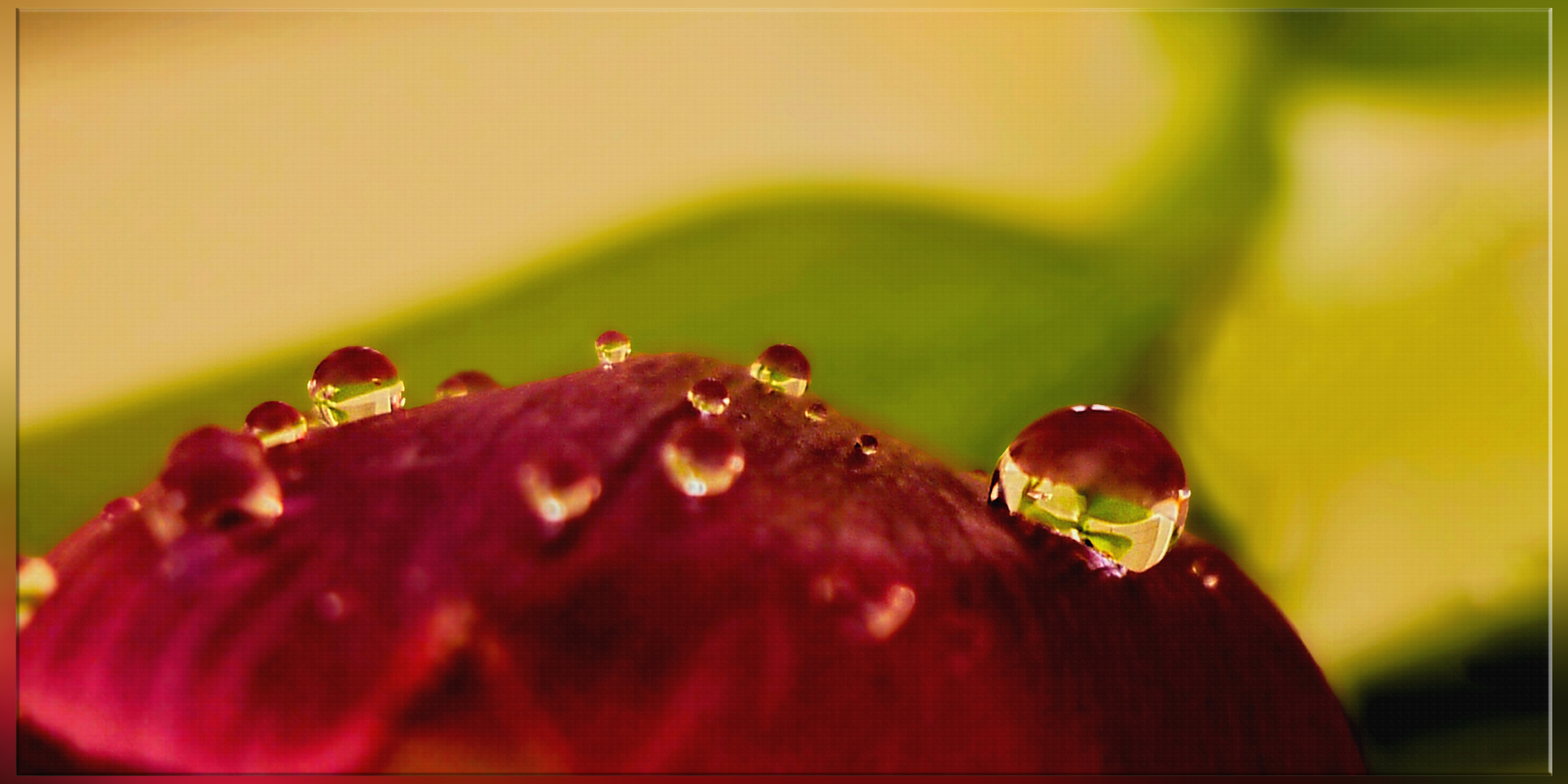 ~ Drops ~