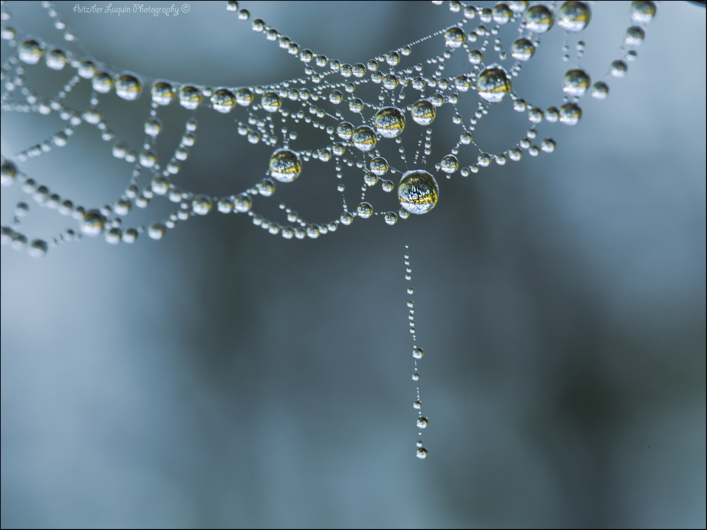 drops