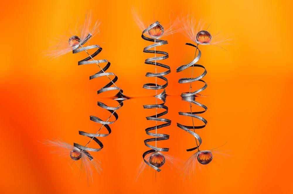 Drops & Flowers gocce e riflessi by Mario Nicorelli con Nikon D300s macro fotografia