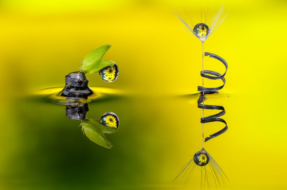 Drops & Flowers gocce e riflessi by Mario Nicorelli con Nikon D300s macro fotografia