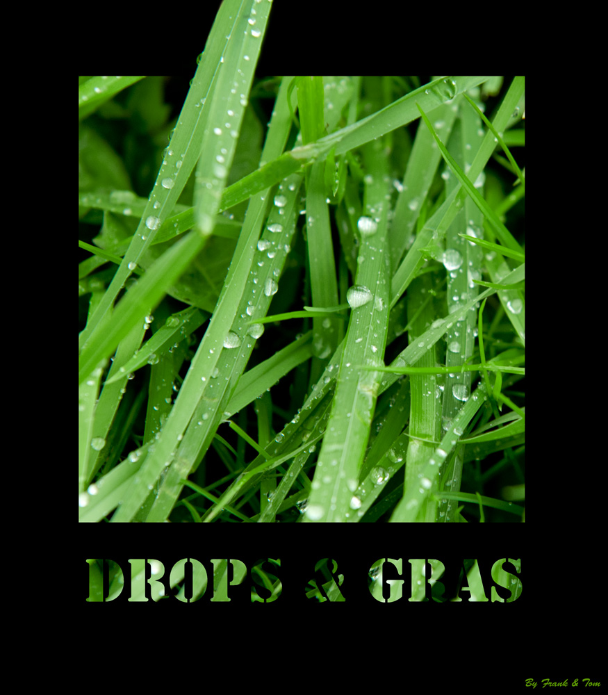 Drops & Gras