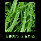 Drops & Gras