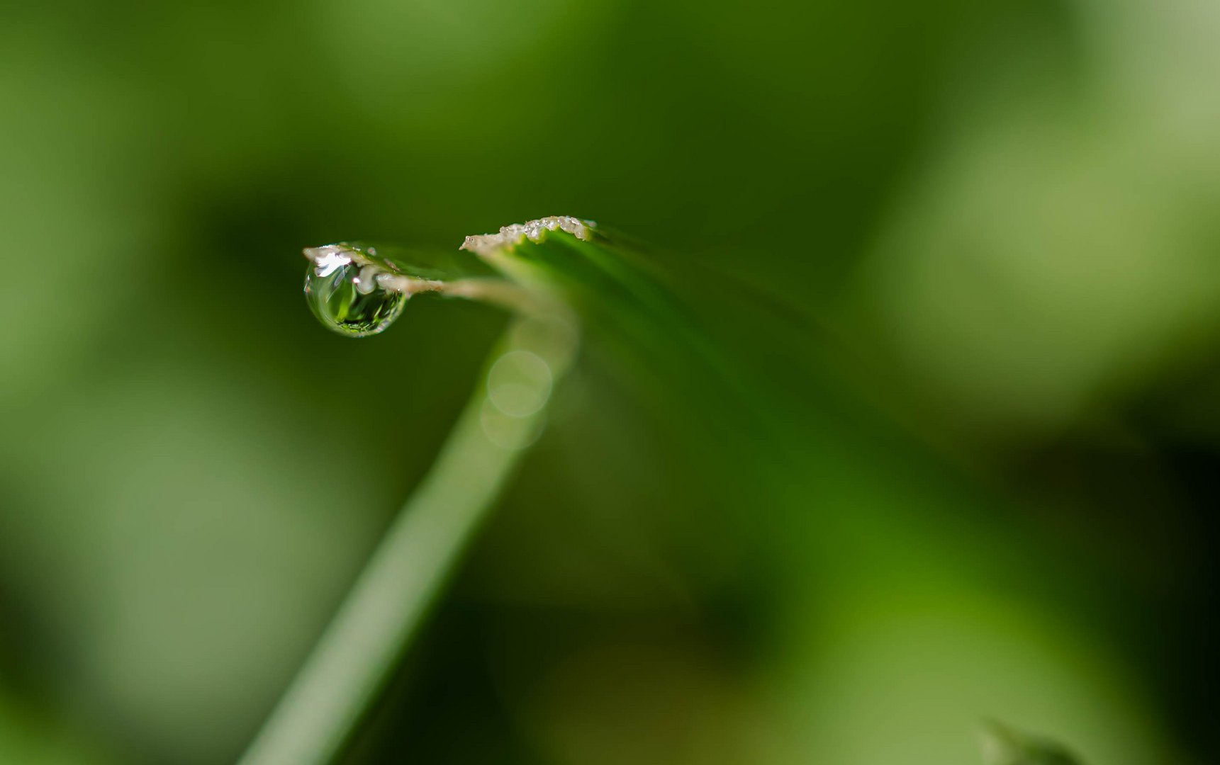 Drops II