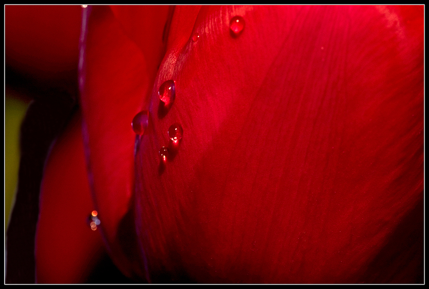 drops II