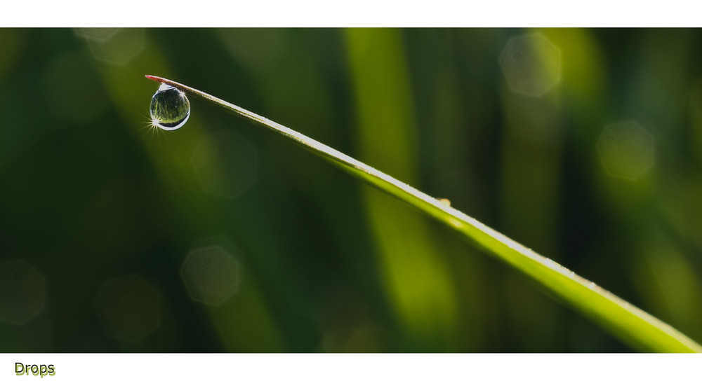 Drops in der Natur