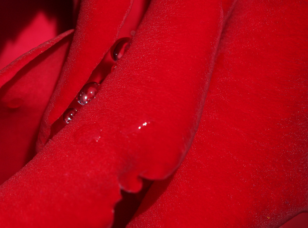 Drops in red