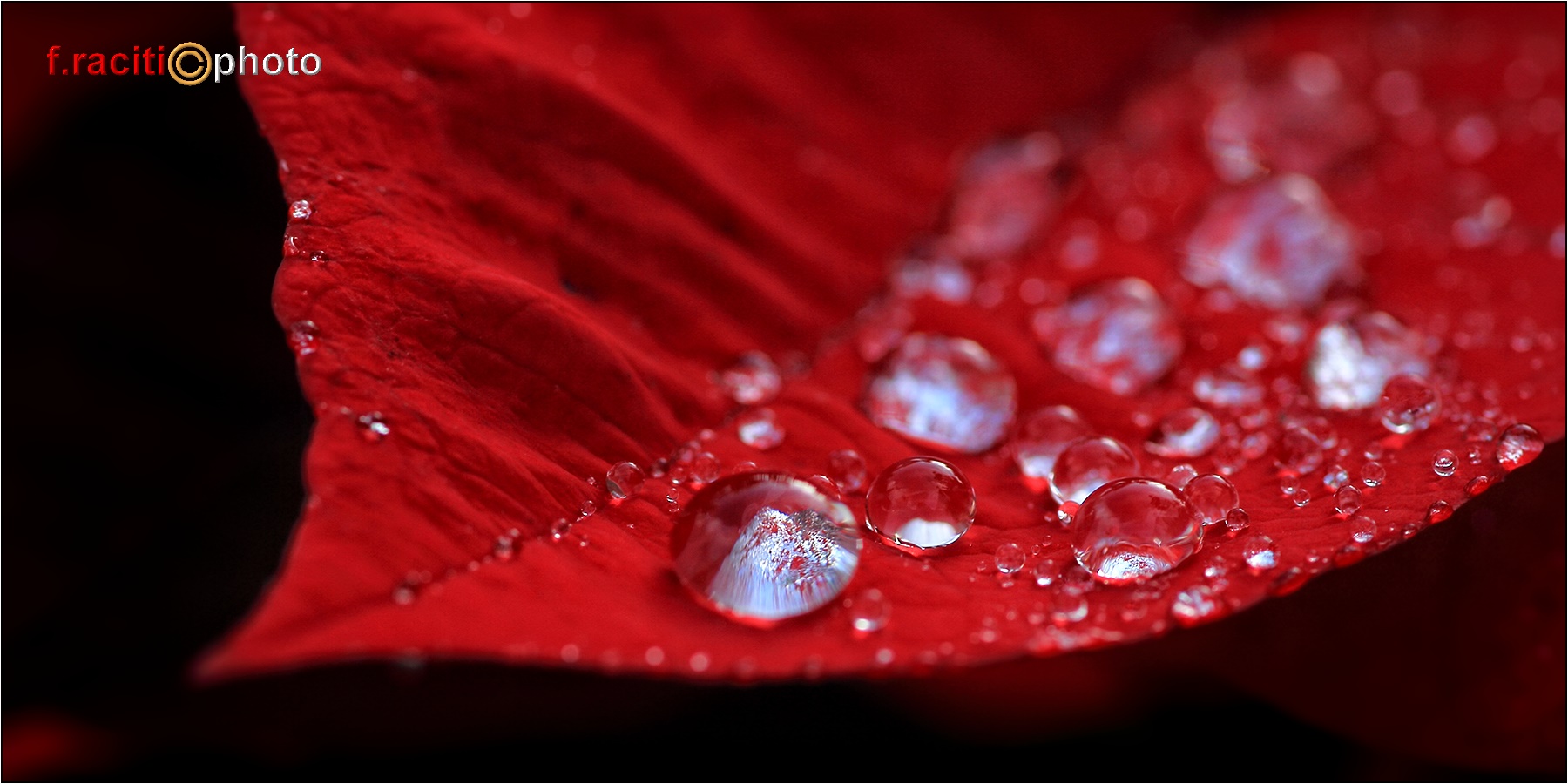 Drops on red