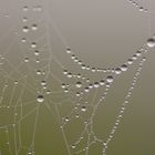 Drops / Tropfen