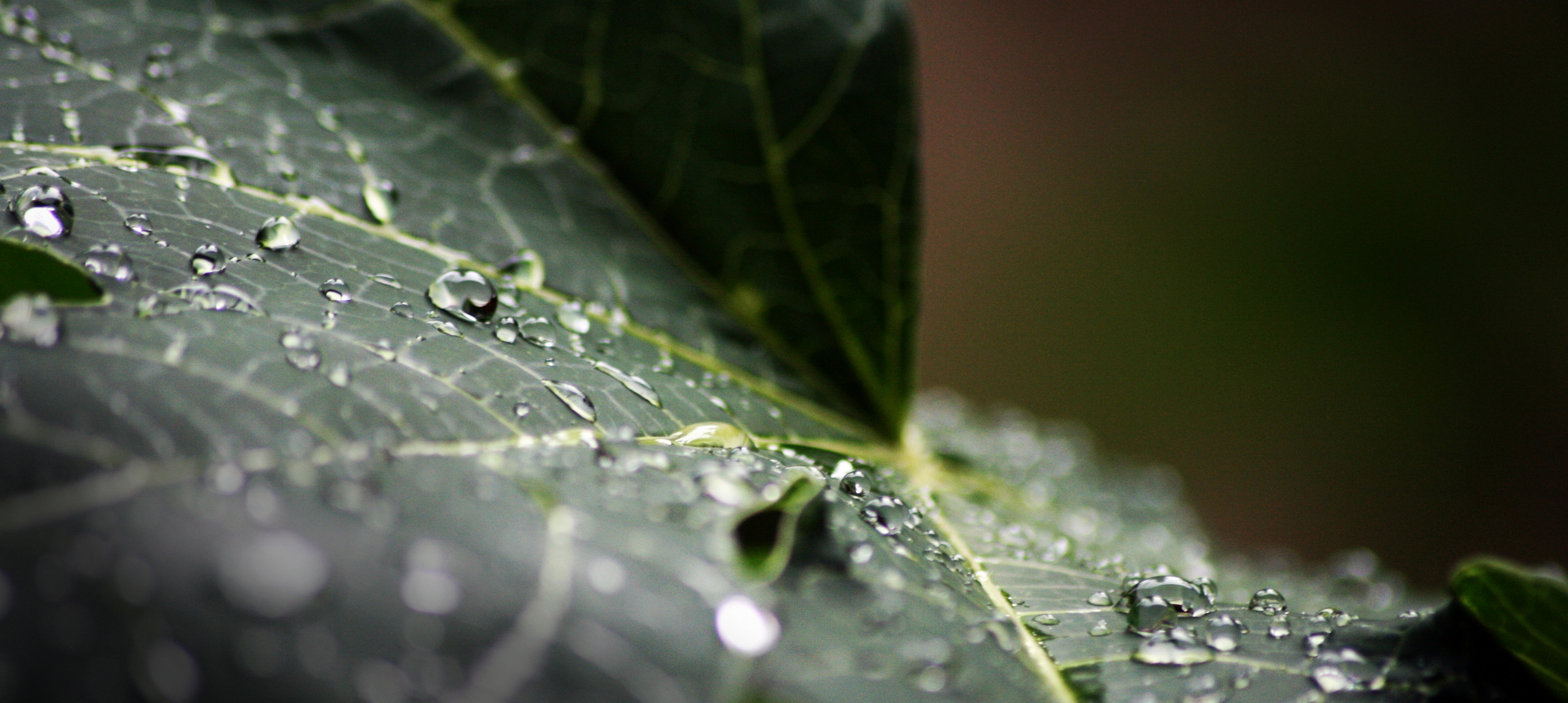 drops_3